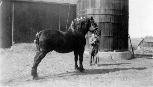 Paul Klein on farm with horse, Lucifer.