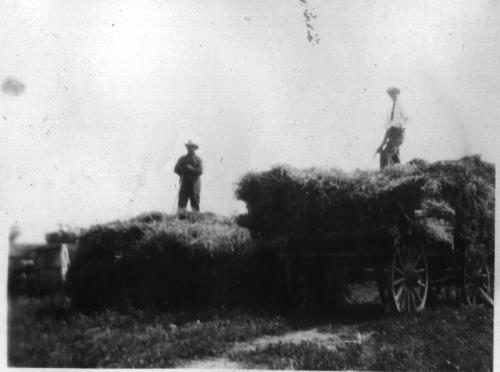 Haying in 1920's on Paul and Appolonia "Franie" (Heibel) Vogel farm