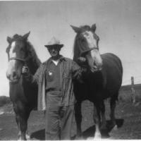Dan Kerber with work horses he raised himself - 1938