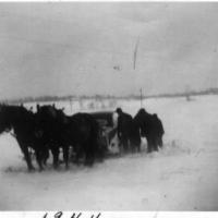 Dan Kerber with work horses pulling cars out of snow on Powers Boulevard - 1944